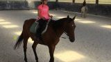 Stages d'équitation